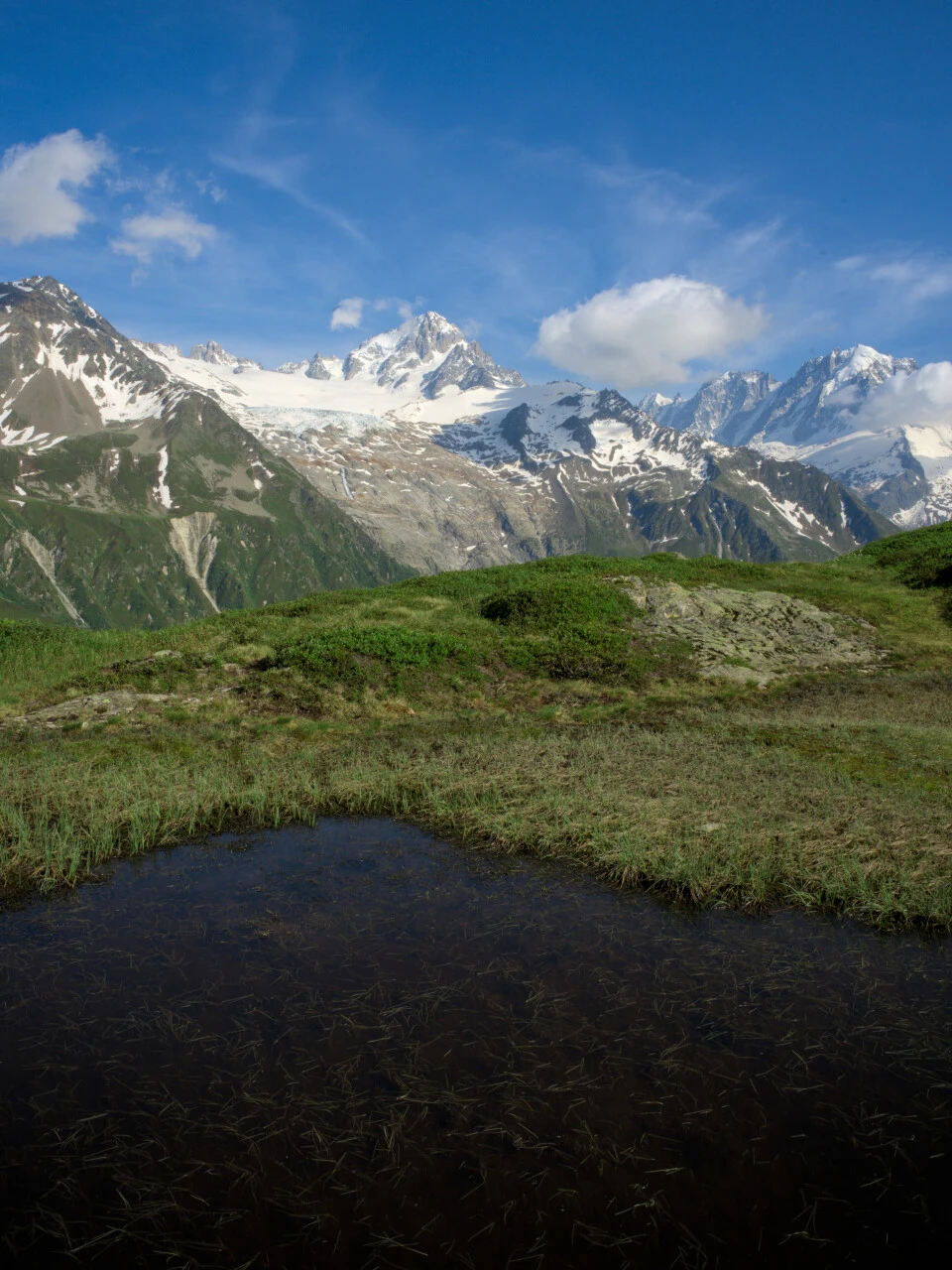 Mare alpine et Aiguille du Chardonnet sur le chemin du col de Balme