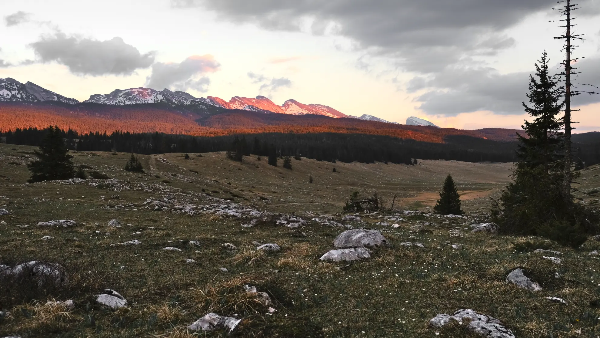 Darbounouse hauts plateaux Vercors