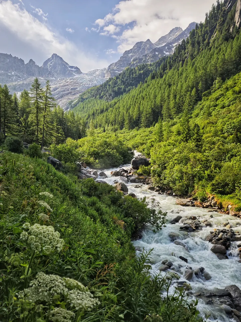 Le glacier du Trient