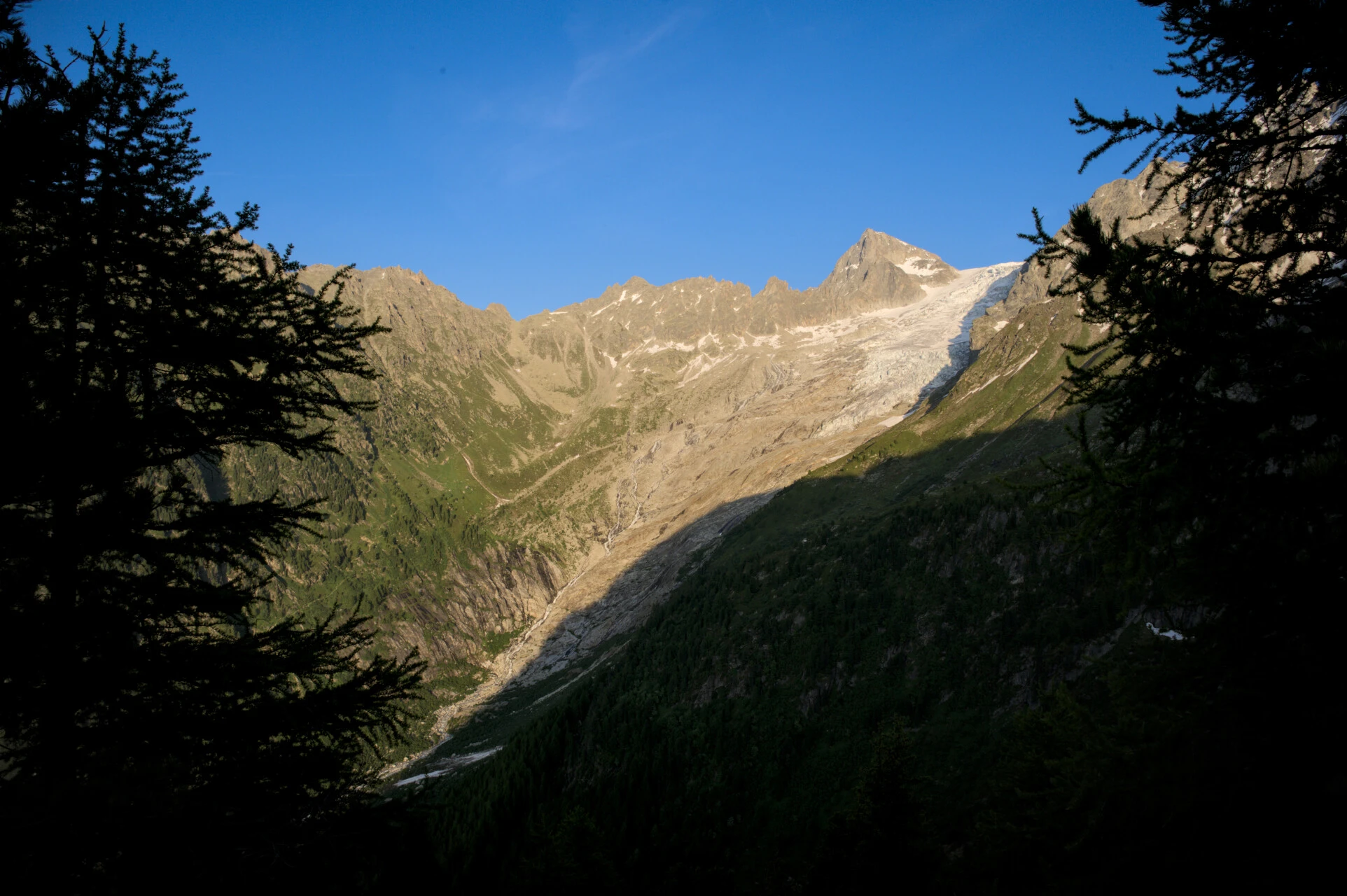 Silhouettes d'épicéas et sommets glaciaires depuis les hauteurs du col de Balme