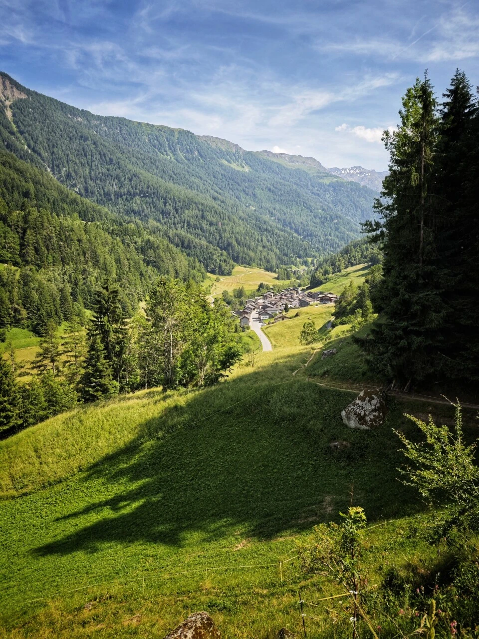 Vue sur le village de Champex et ses pentes boisées