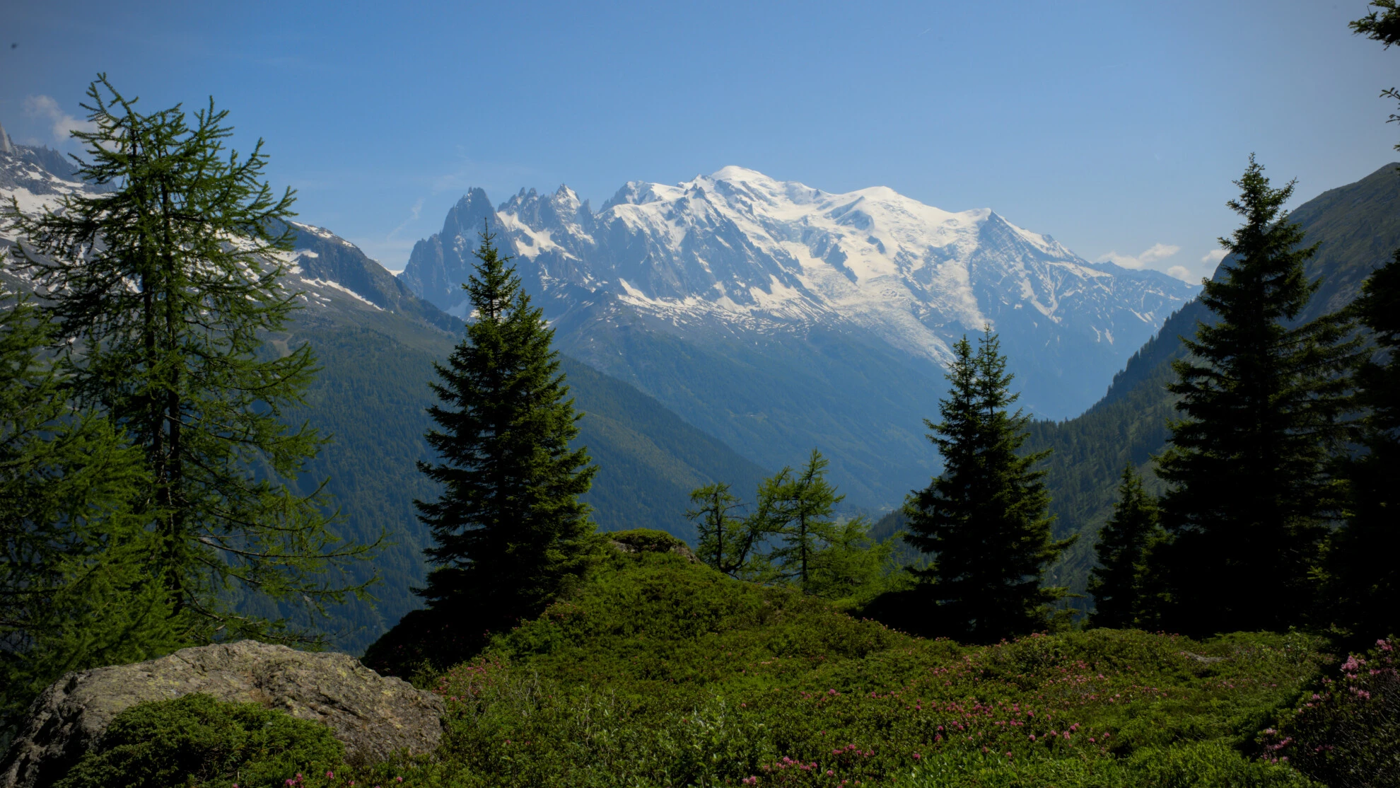 Alpage sur le Grand Balcon Sud avec le massif du Mont-Blanc en fond