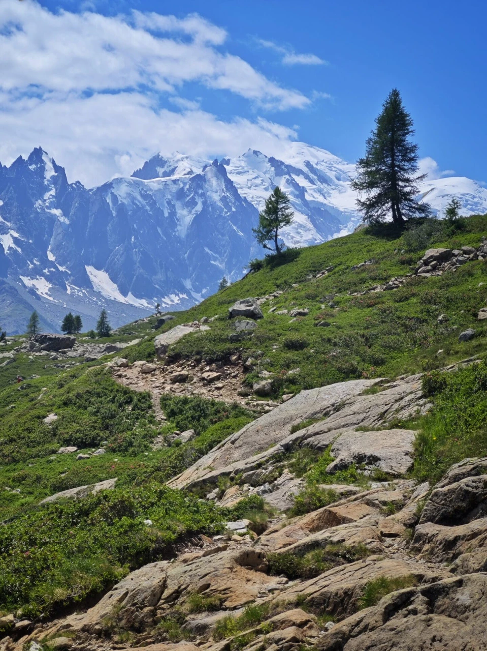 Le sentier au-dessus du col des Montets, avec le massif du Mont-Blanc en vis-à-vis pendant toute la montée