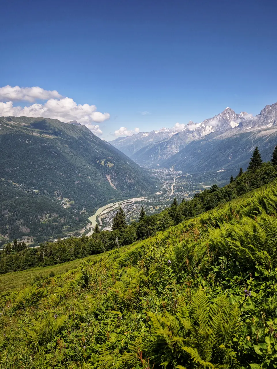 Vallée de l'Arve depuis le Col de Voza